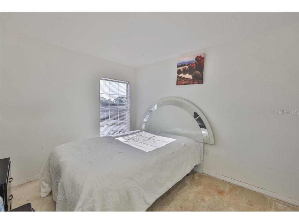 702 Cristelle Jean Drive Ruskin FL 33570 TB8451680 image21