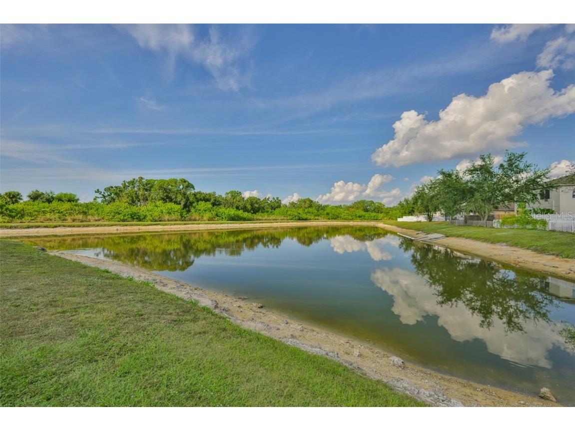 702 Cristelle Jean Drive Ruskin FL 33570 TB8451680 image32