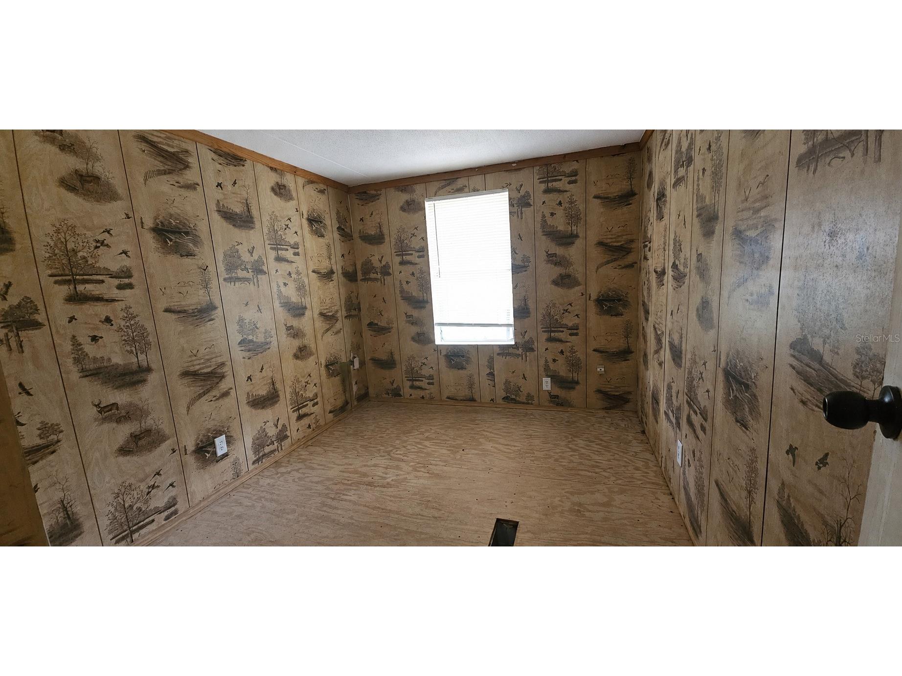 702 David Avenue Interlachen FL 32148 OM727894 image11