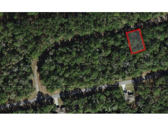 702 E Byrd Loop Dunnellon FL 34434 O6247244 image1