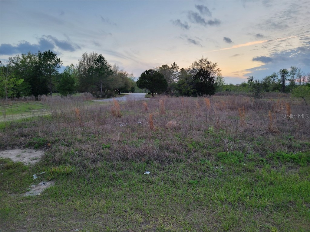 702 E Sequoia Place Citrus Springs FL 34434 OM654694 image1