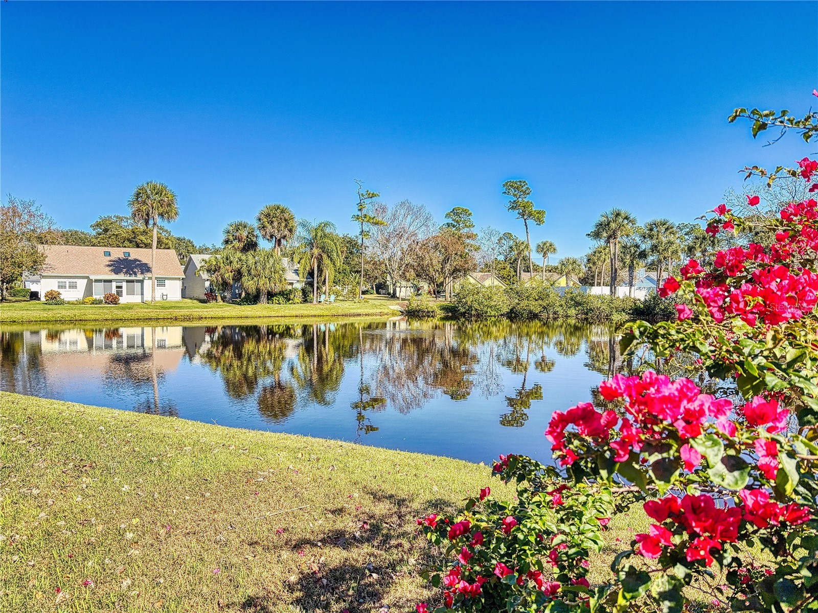 702 Fox Tail Court New Smyrna Beach FL 32168 NS1087116 image60