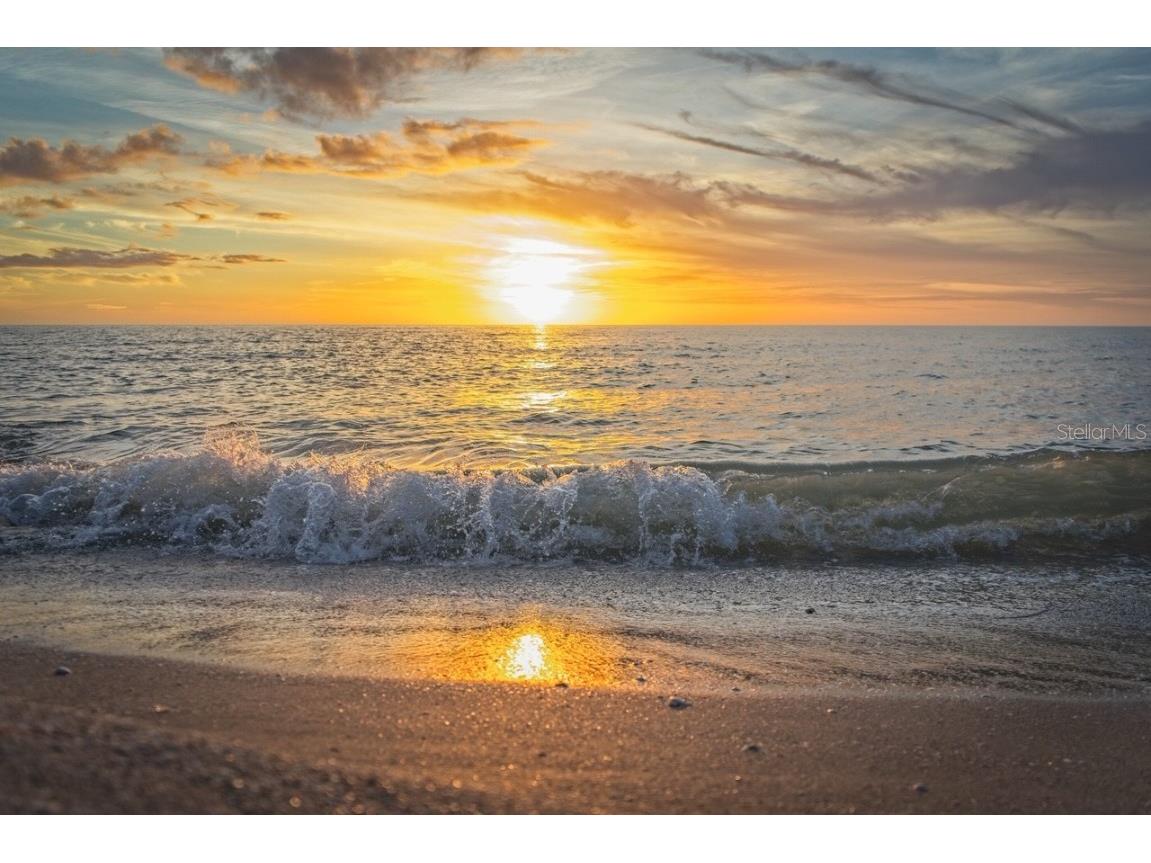 702 Hibiscus Drive Venice FL 34285 N6141681 image9