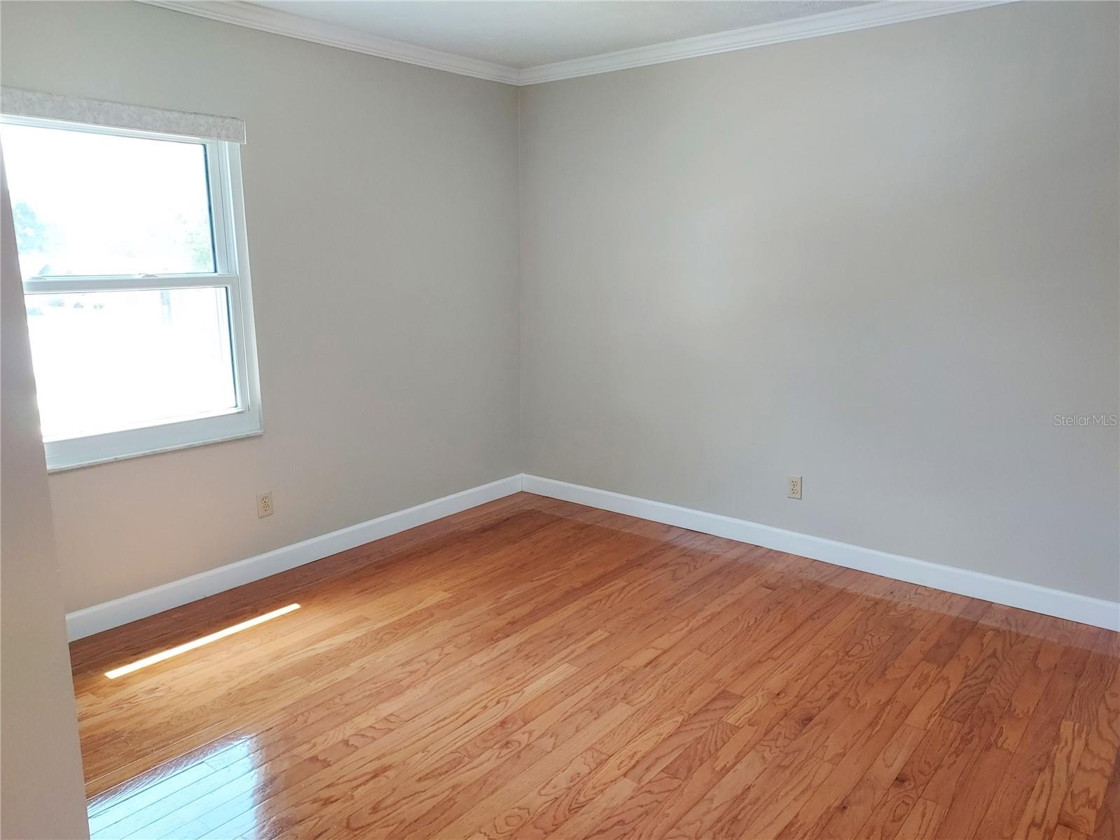 702 Hyssop Place Brandon FL 33510 TB8527894 image25