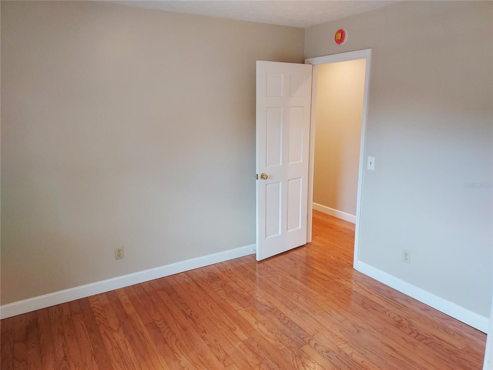 702 Hyssop Place Brandon FL 33510 TB8527894 image29