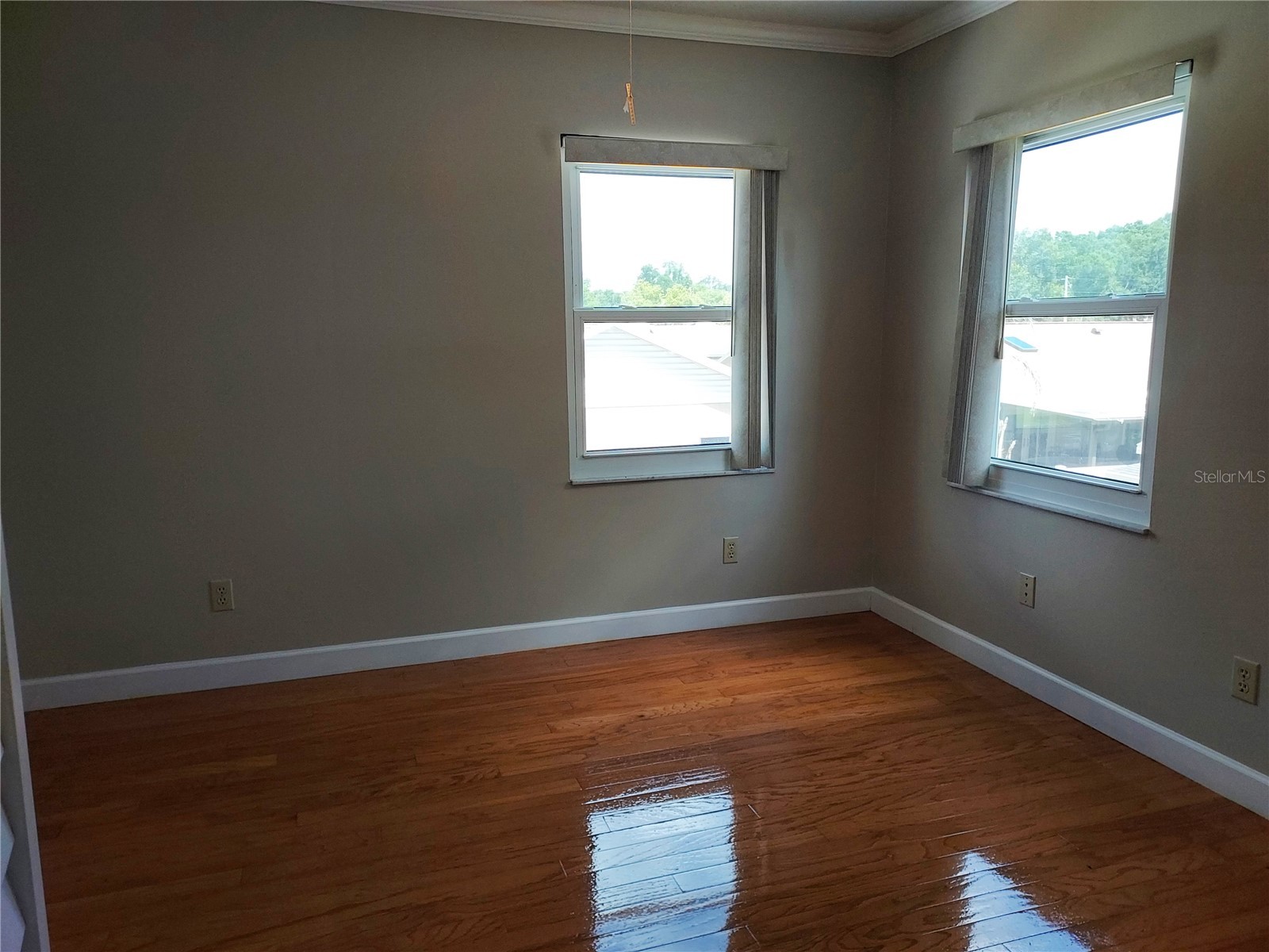 702 Hyssop Place Brandon FL 33510 TB8527894 image30