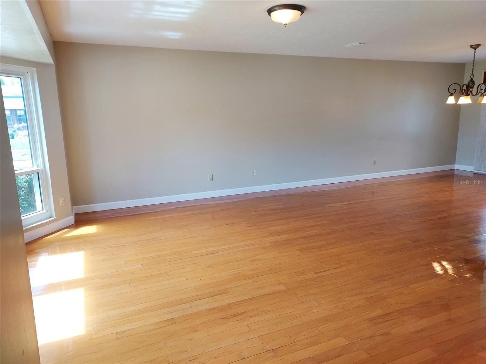 702 Hyssop Place Brandon FL 33510 TB8527894 image9
