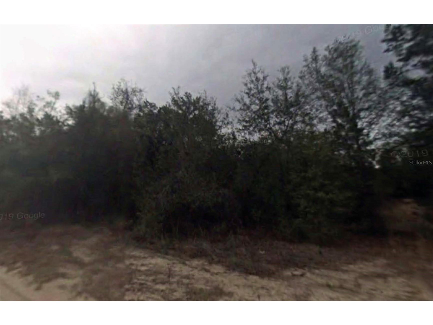 702 Longwood Avenue Inverness FL 34453 O6401387 image1