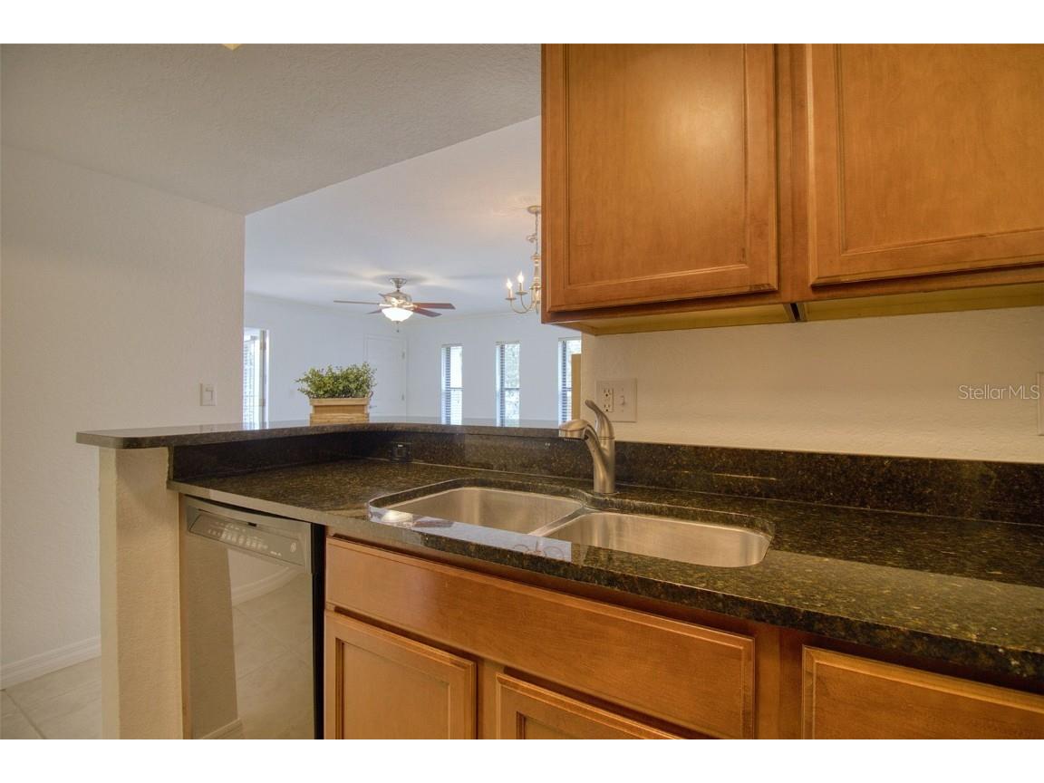 702 Lyndhurst Street #821 Dunedin FL 34698 TB8441733 image11