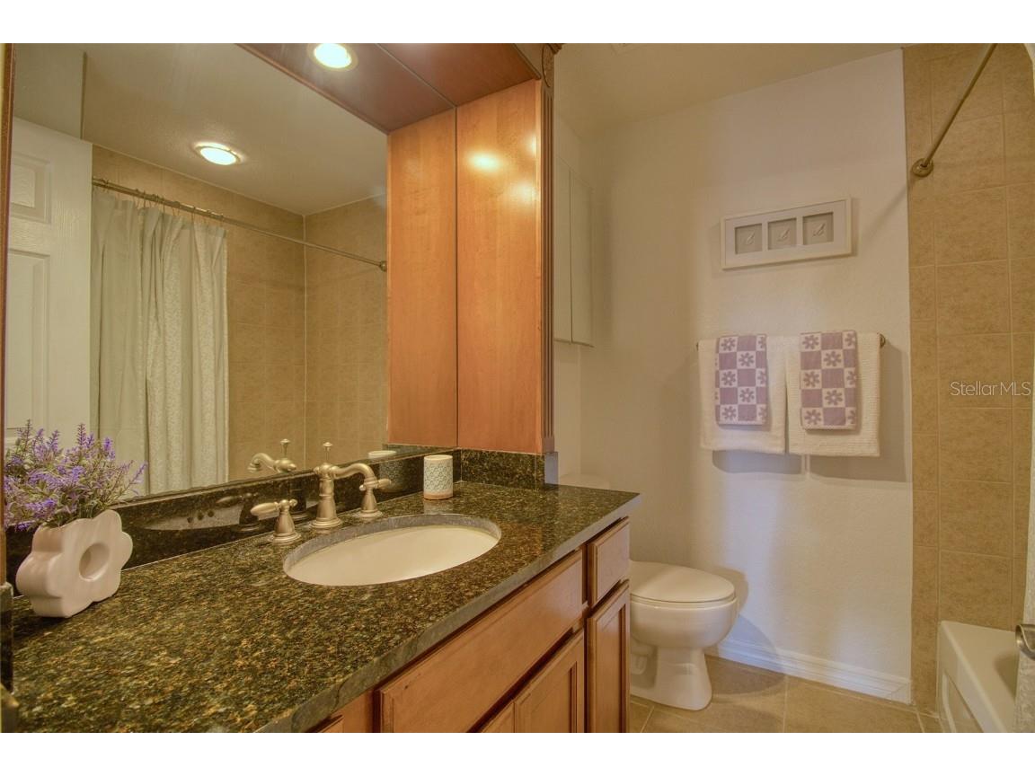 702 Lyndhurst Street #821 Dunedin FL 34698 TB8441733 image12