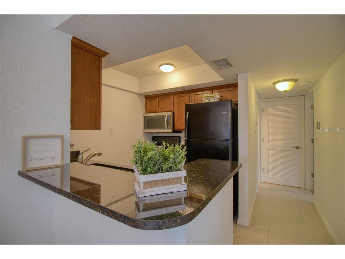 702 Lyndhurst Street #821 Dunedin FL 34698 TB8441733 image9