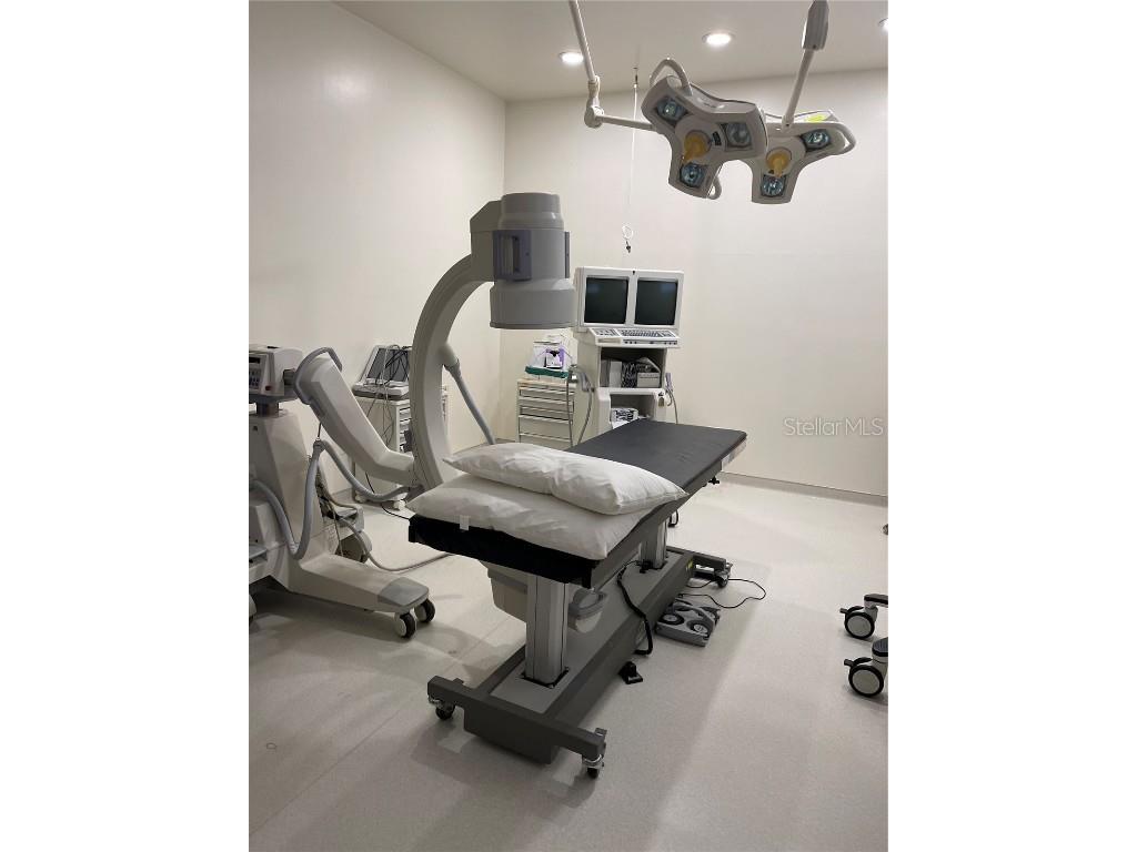 702 N Alexander Street Plant City FL 33563 T3534195 image6