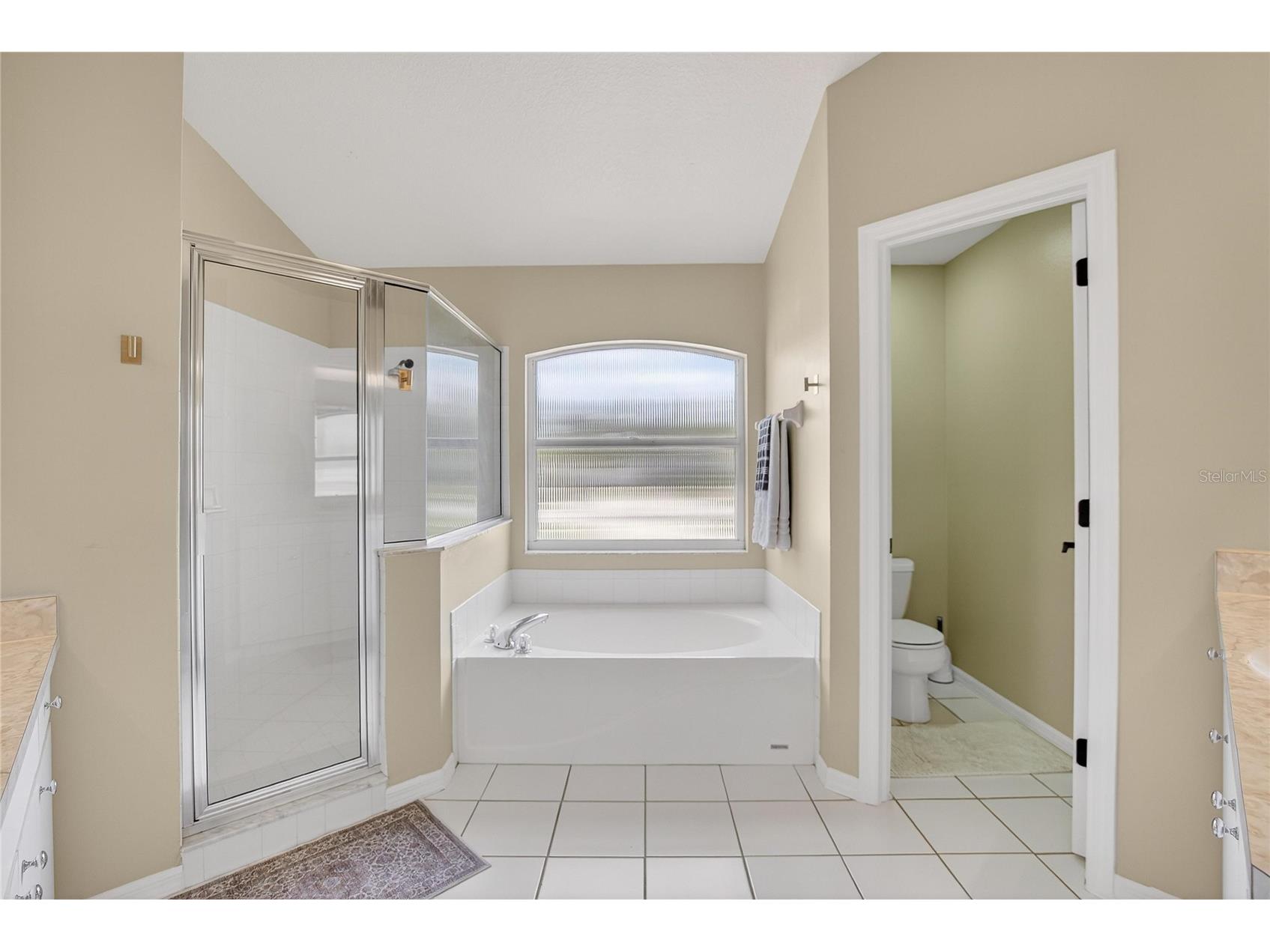 702 Tuscanny Street Brandon FL 33511 TB8484421 image19