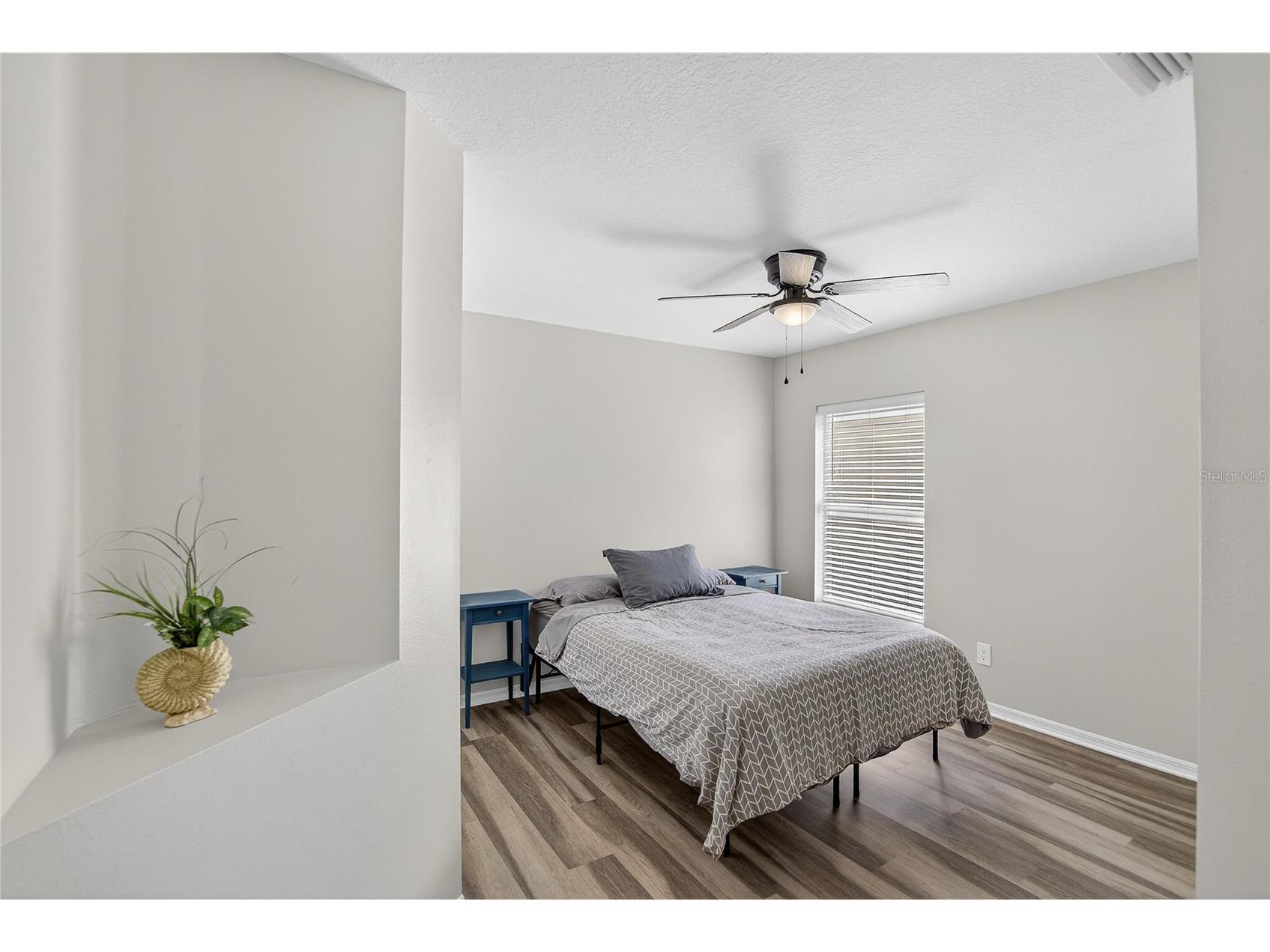 702 Tuscanny Street Brandon FL 33511 TB8484421 image37