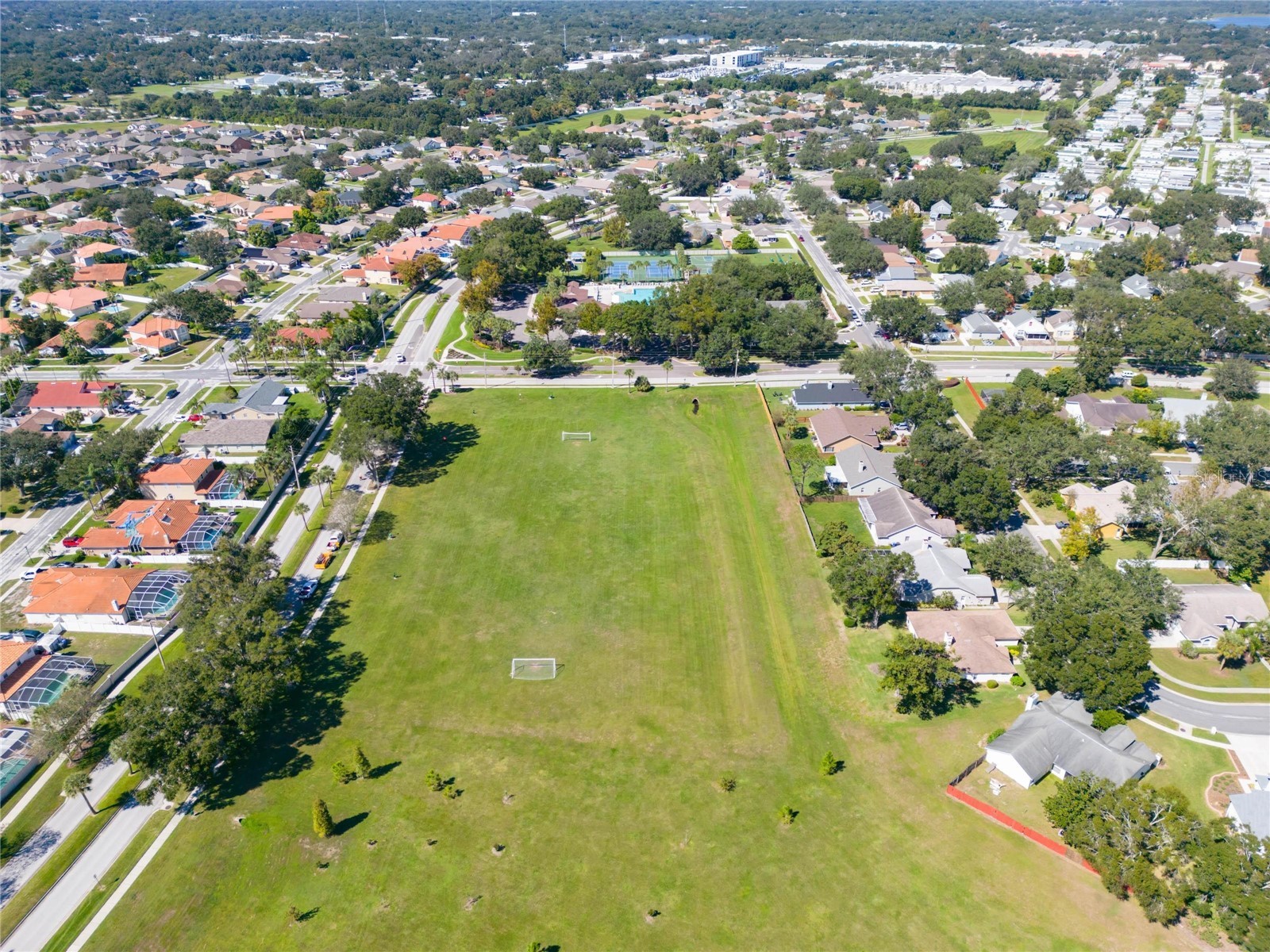 702 Tuscanny Street Brandon FL 33511 TB8484421 image60