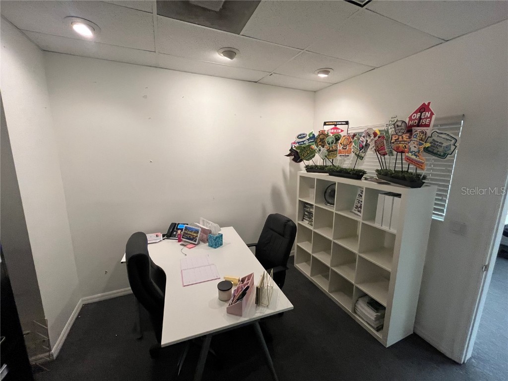 702 W Dr Martin Luther King Jr Boulevard Plant City FL 33563 L4956770 image7