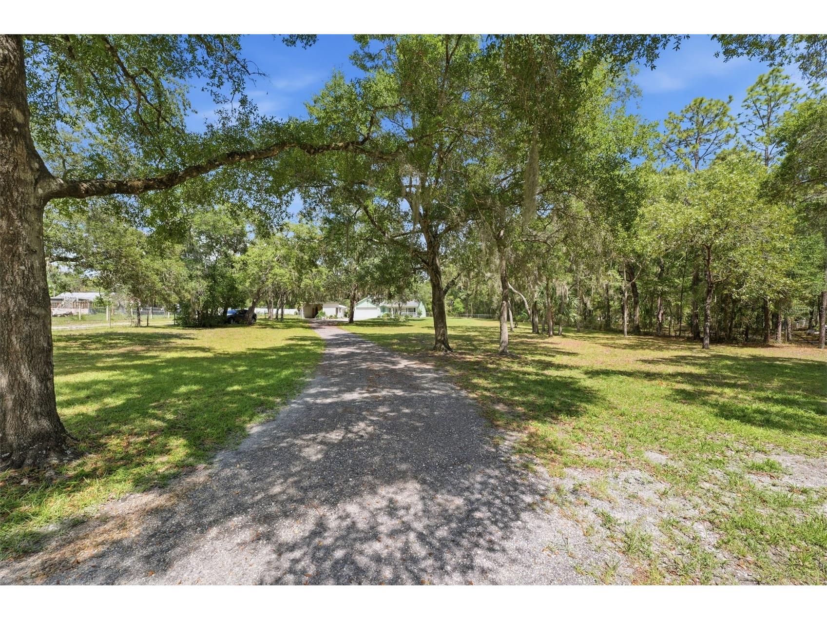 7020 Alberta Street Brooksville FL 34604 W7885941 image2