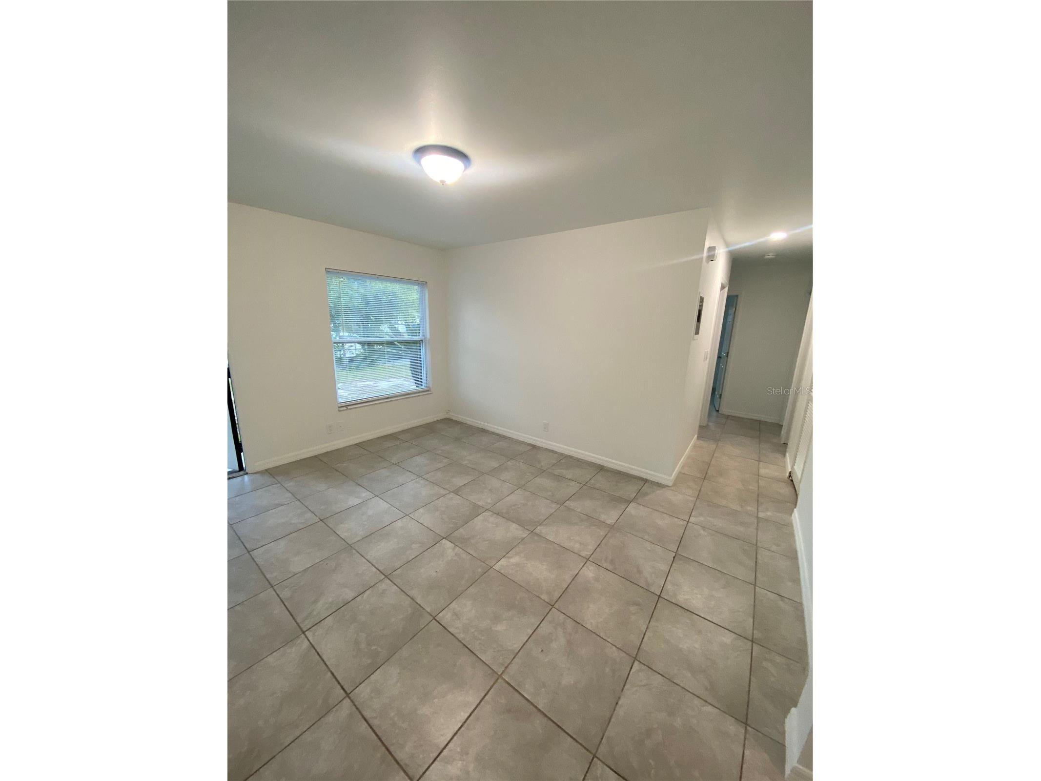 7020 Baywood Drive Tampa FL 33637 TB8491700 image5