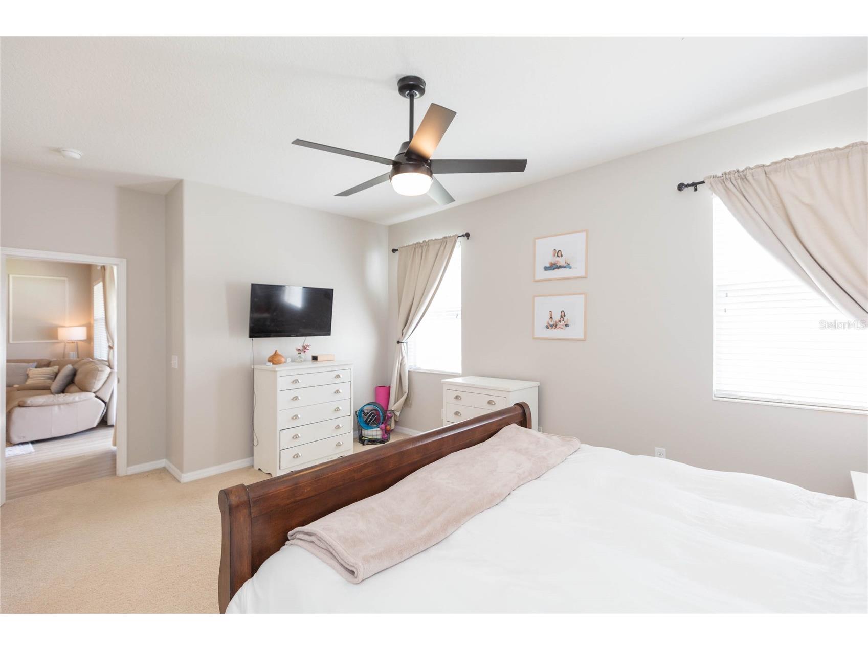 7020 Blue Beech Drive Riverview FL 33578 TB8519842 image22