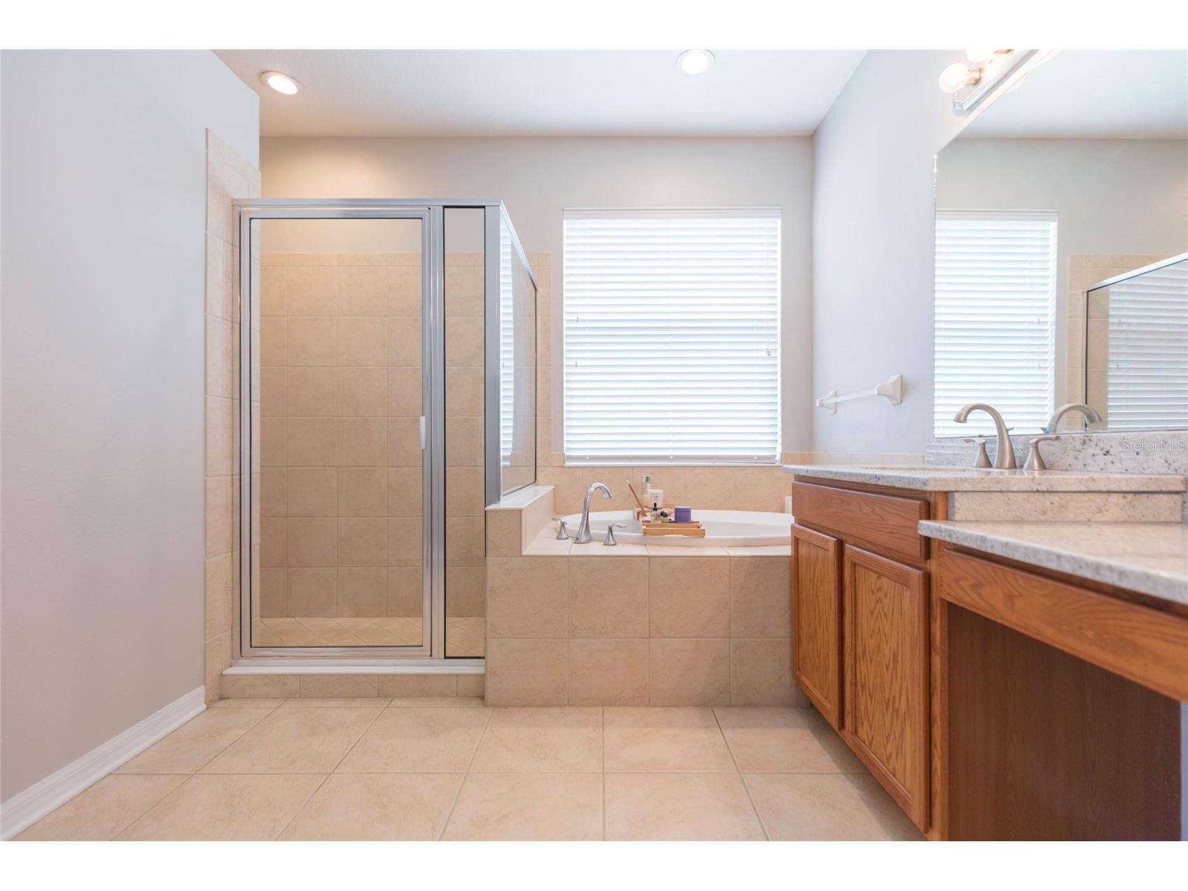 7020 Blue Beech Drive Riverview FL 33578 TB8519842 image24