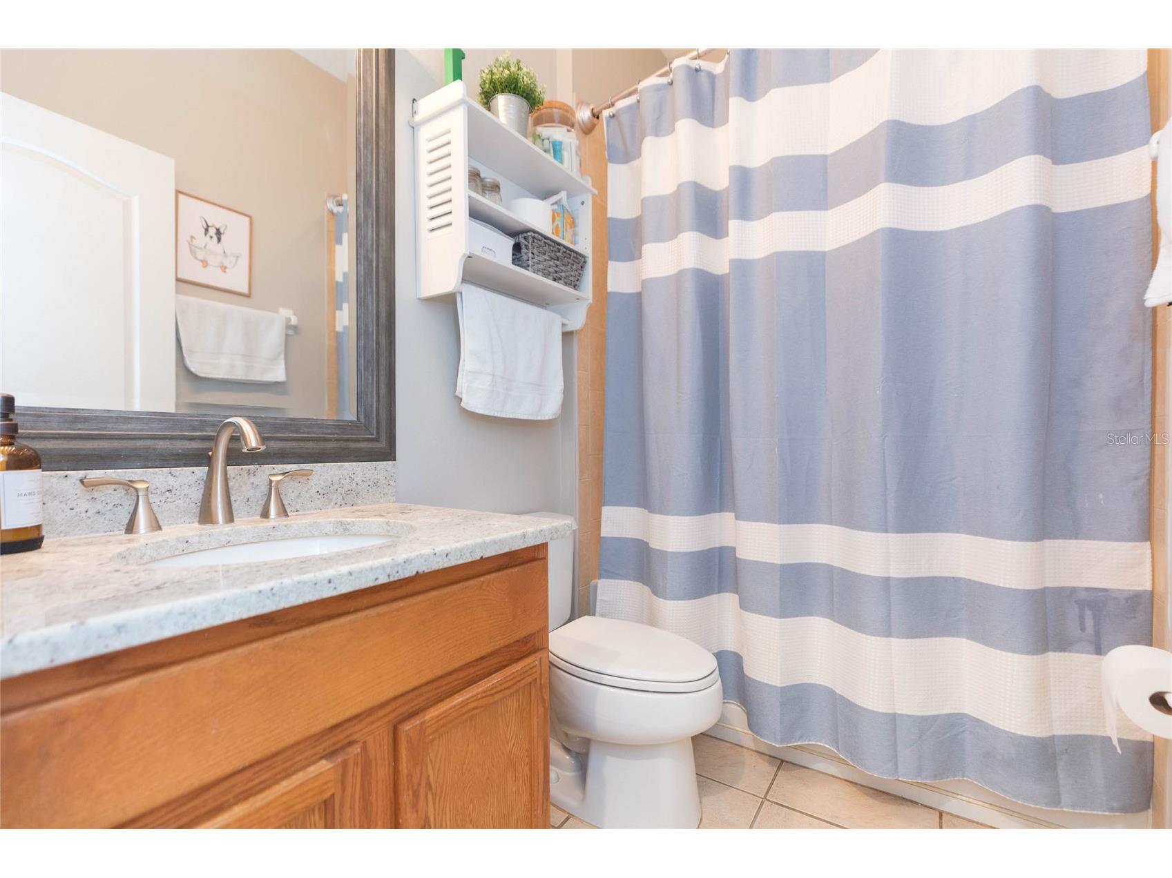 7020 Blue Beech Drive Riverview FL 33578 TB8519842 image28