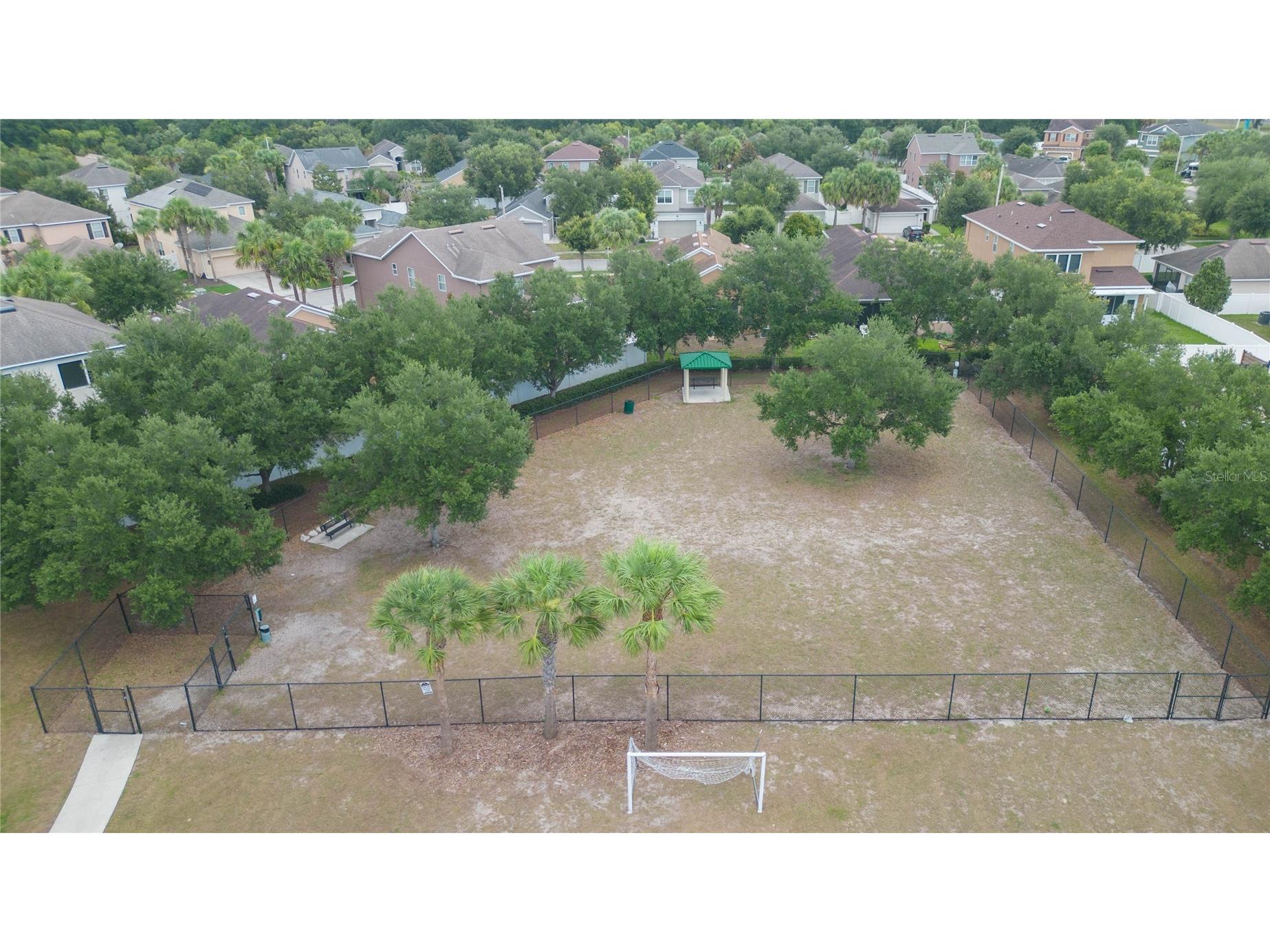 7020 Blue Beech Drive Riverview FL 33578 TB8519842 image42