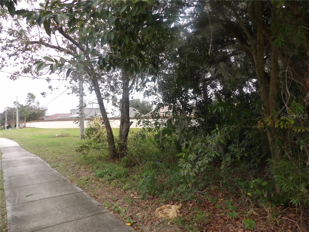 7020 S Carter Road Lakeland FL 33813 T3492350 image1