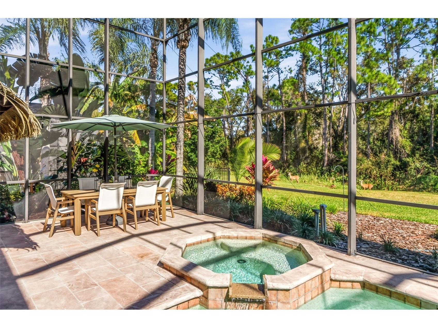 7020 Scrub Jay Drive Sarasota FL 34241 A4681253 image41