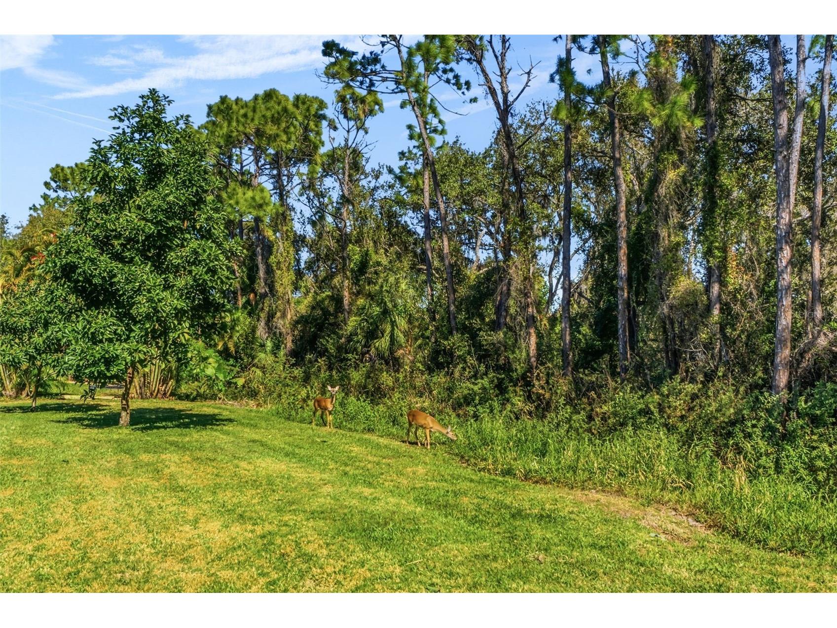 7020 Scrub Jay Drive Sarasota FL 34241 A4681253 image51