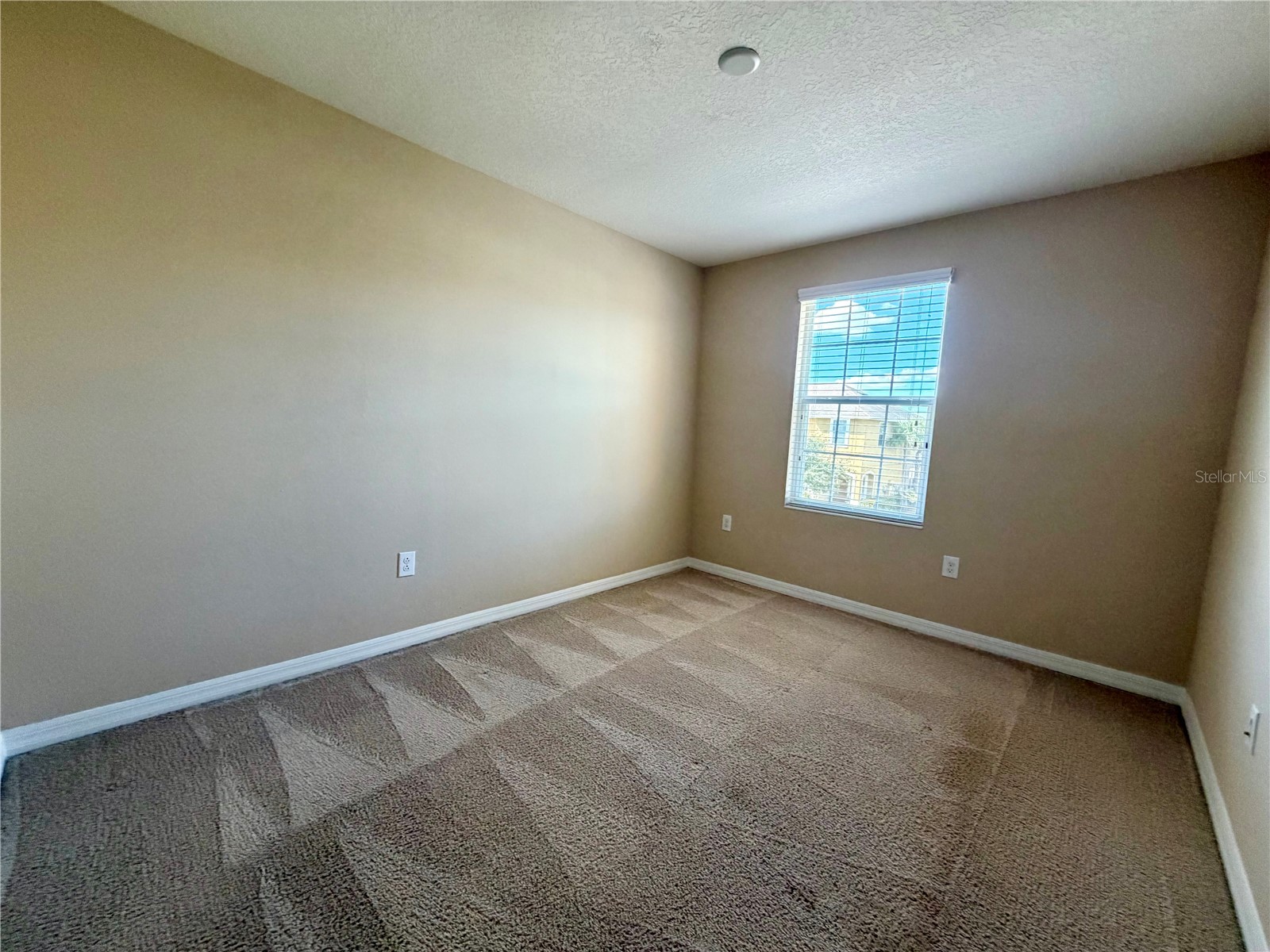 7020 Woodchase Glen Drive Riverview FL 33578 TB8490949 image10