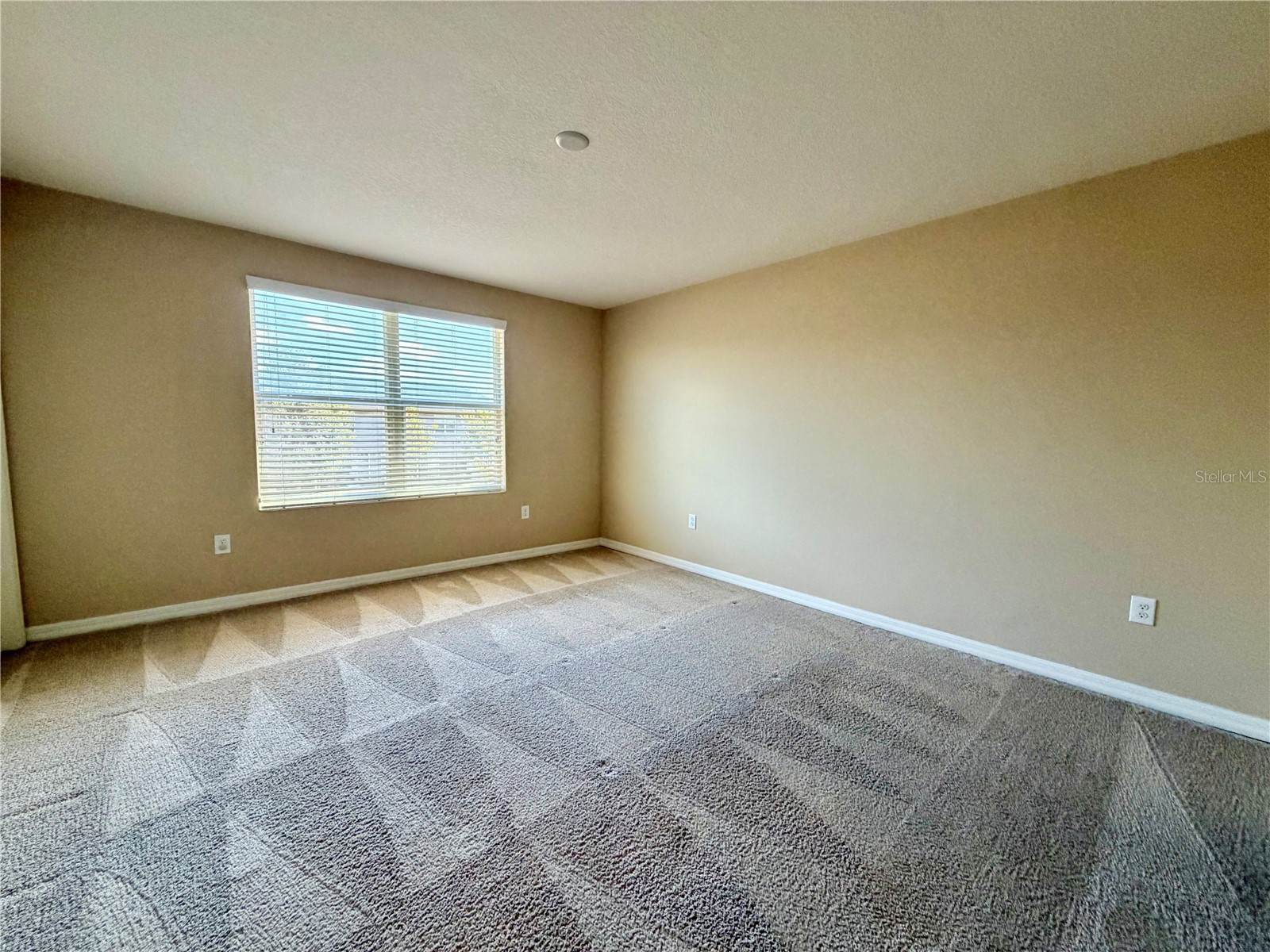 7020 Woodchase Glen Drive Riverview FL 33578 TB8490949 image7
