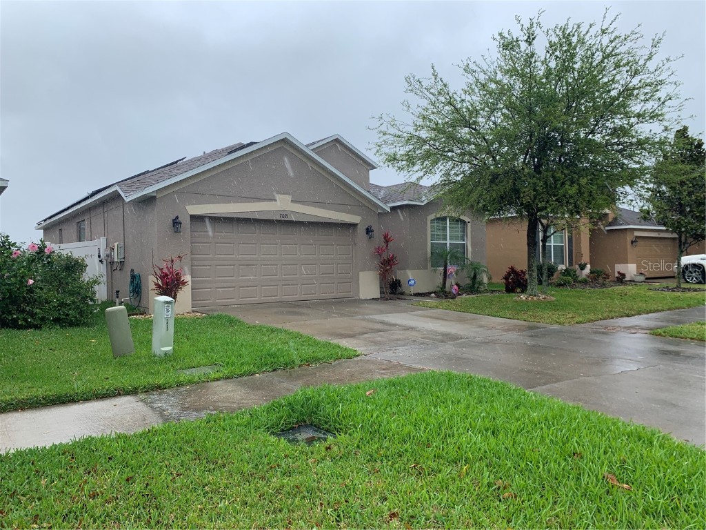 7021 Blue Beech Drive Riverview FL 33578 T3360509 image1