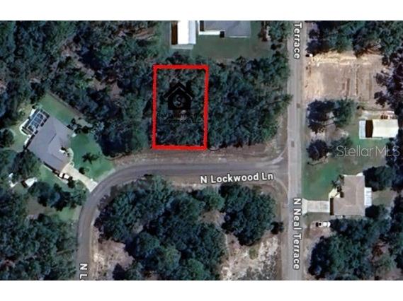 7022 N Lockwood Way Citrus Springs FL 34434 O6329250 image1