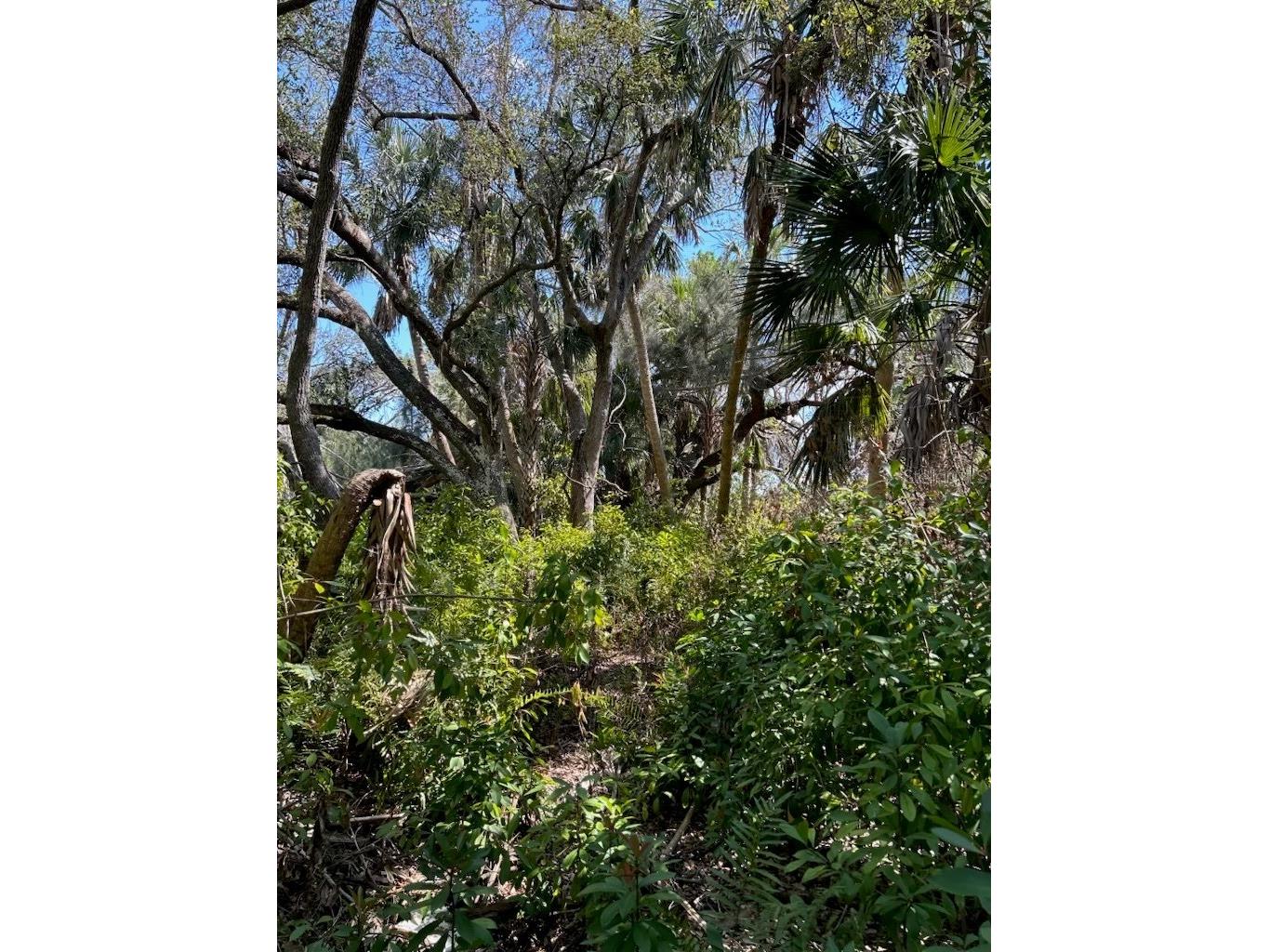 7022 Riverside Drive Punta Gorda FL 33982 TB8406829 image11