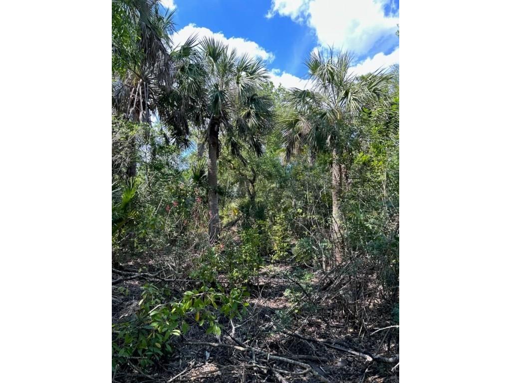 7022 Riverside Drive Punta Gorda FL 33982 TB8406829 image5