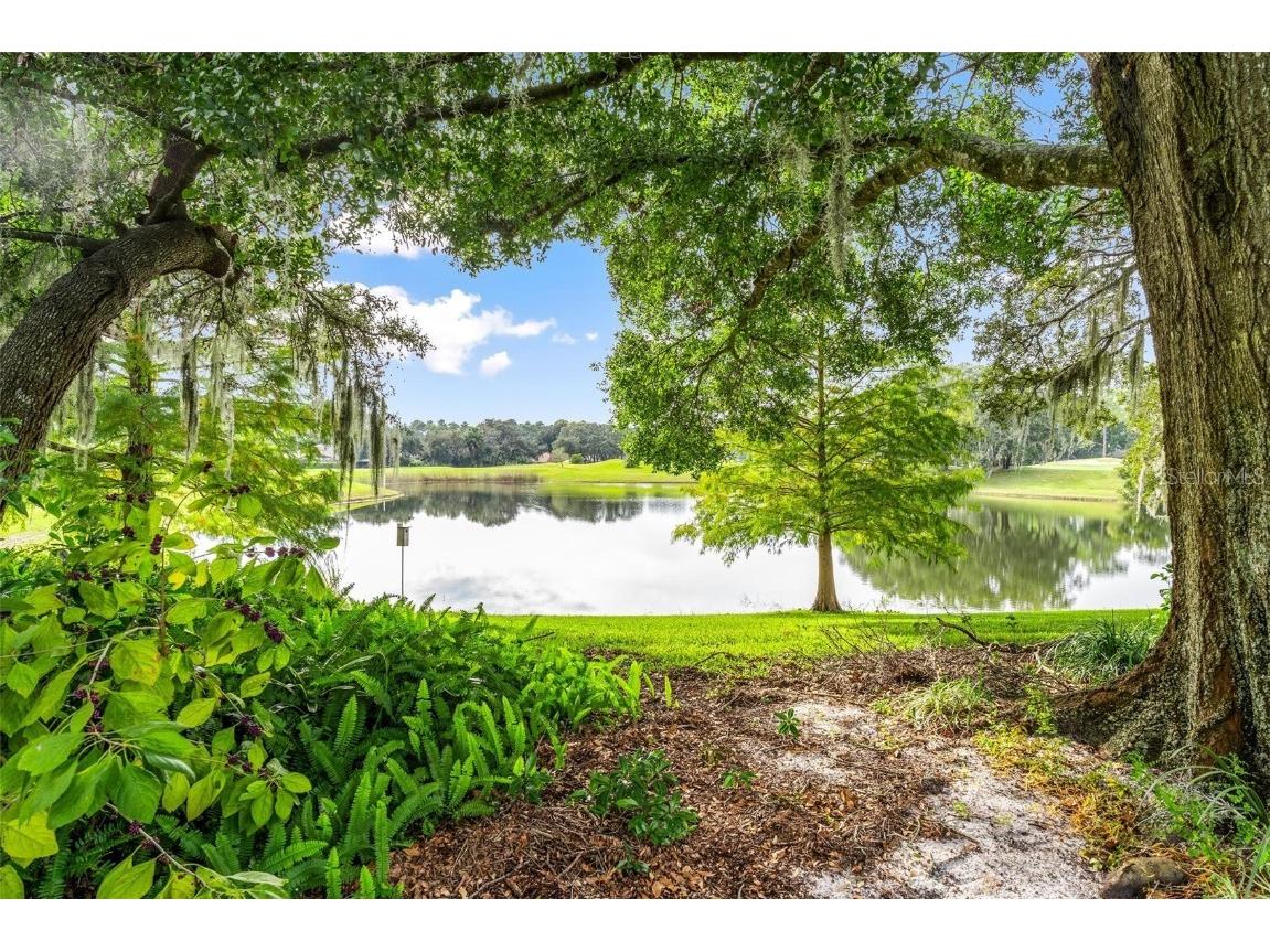 7023 Arcadian Court Mount Dora FL 32757 - BULL RUSH POND G5104462 image2