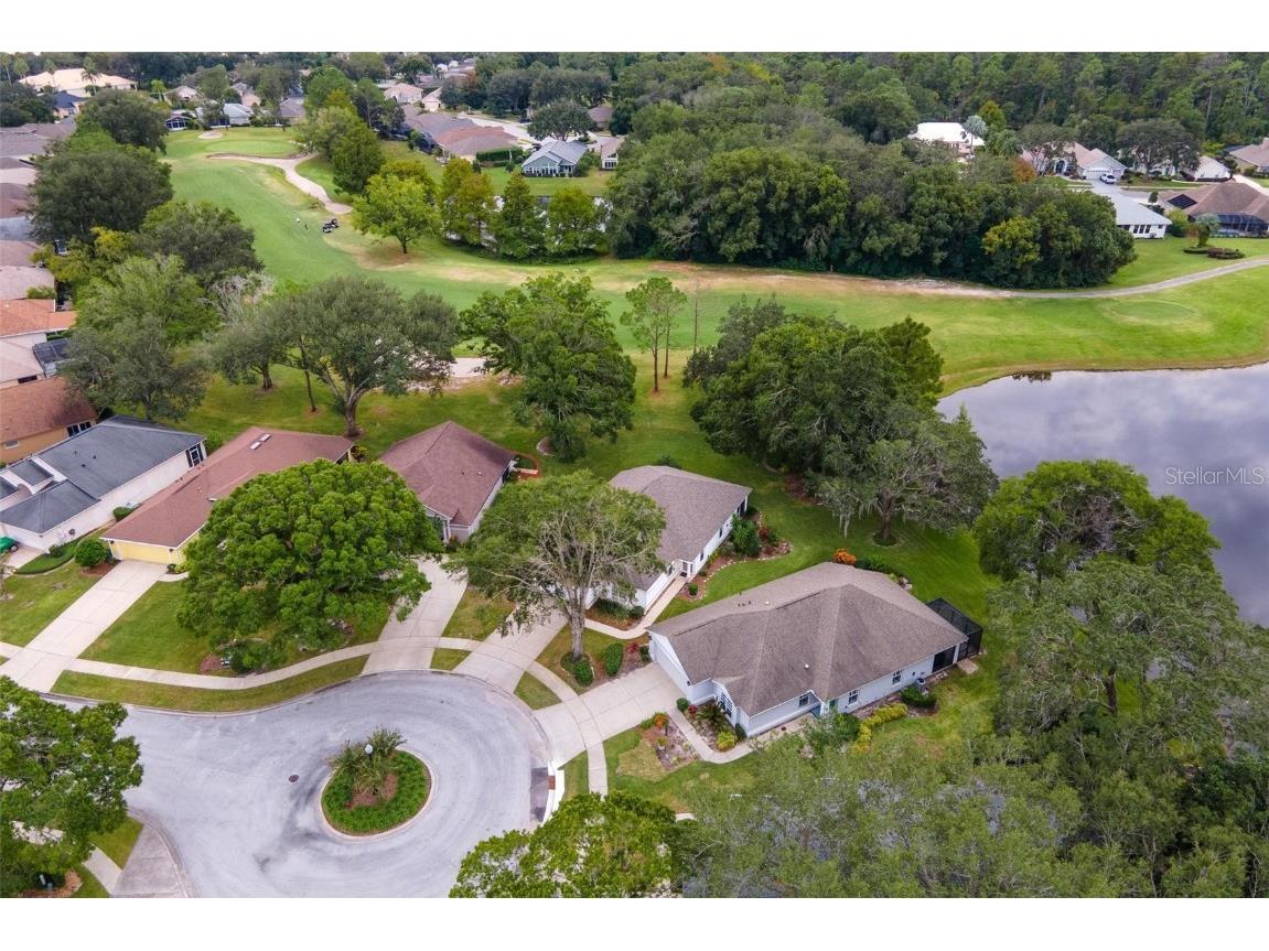 7023 Arcadian Court Mount Dora FL 32757 - BULL RUSH POND G5104462 image3