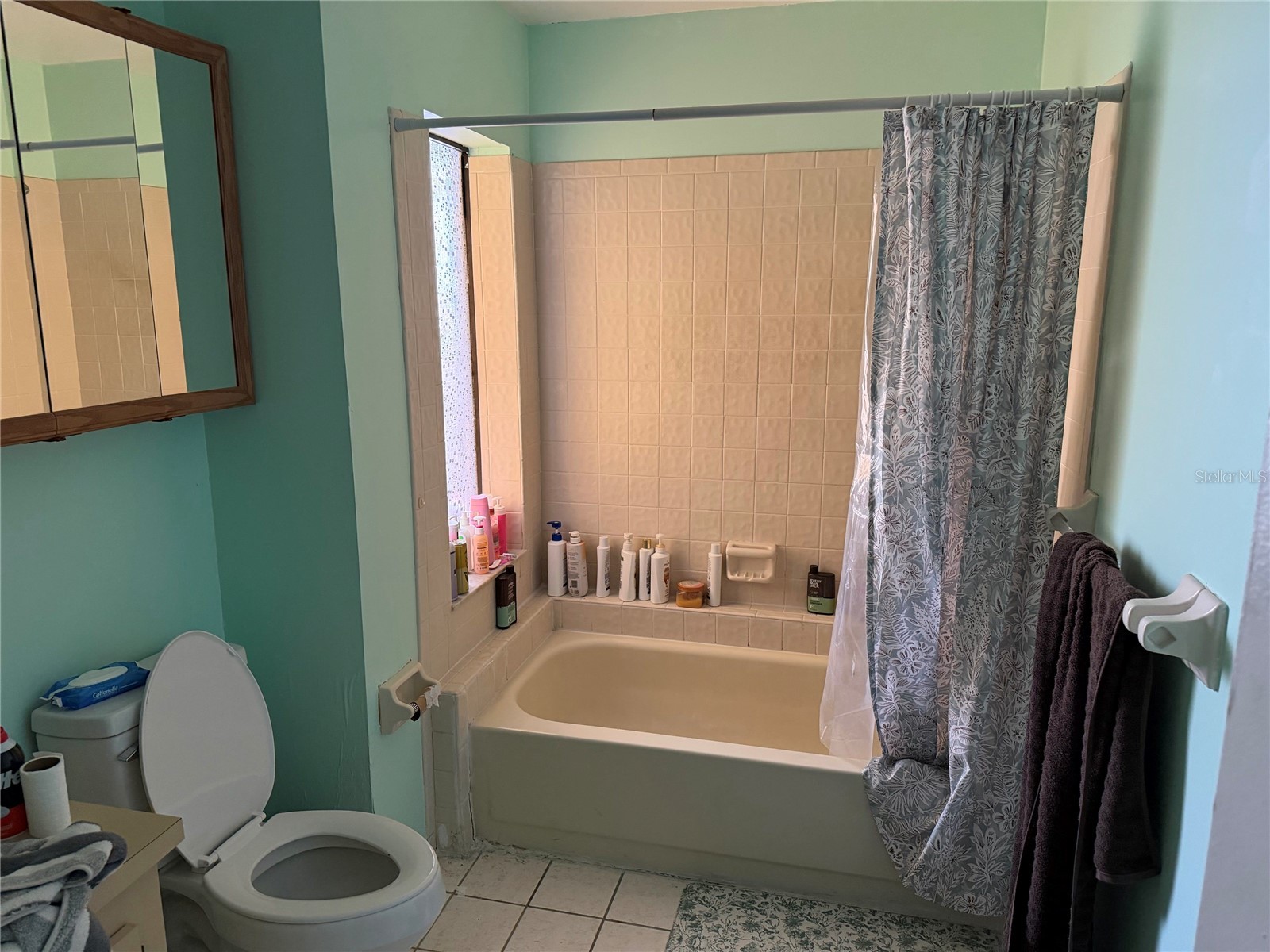 7023 Fox Chase Drive Lakeland FL 33810 A4698282 image9