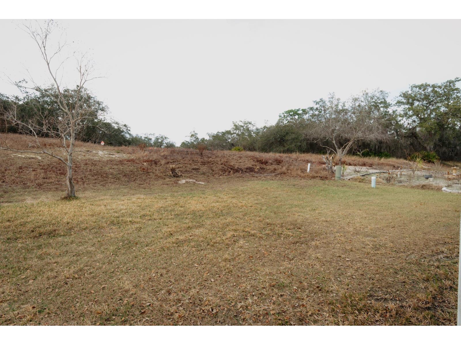 7023 Tamarind Drive Lake Wales FL 33898 TB8480014 image27