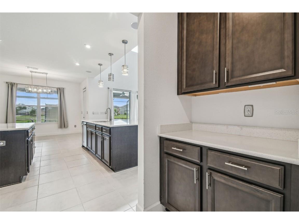 7024 Bradbury Circle Wesley Chapel FL 33545 TB8396231 image38