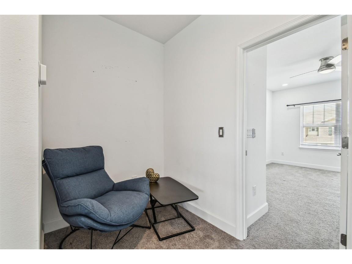 7024 Bradbury Circle Wesley Chapel FL 33545 TB8396231 image61