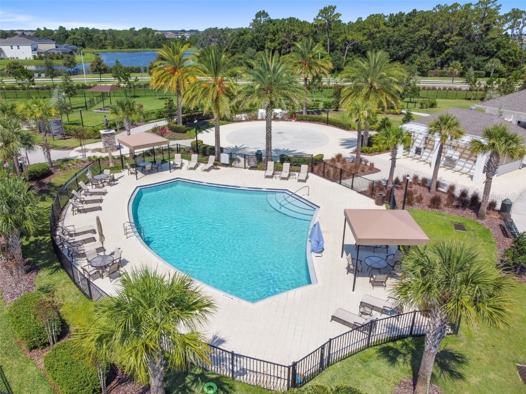 7024 Bradbury Circle Wesley Chapel FL 33545 TB8396231 image87