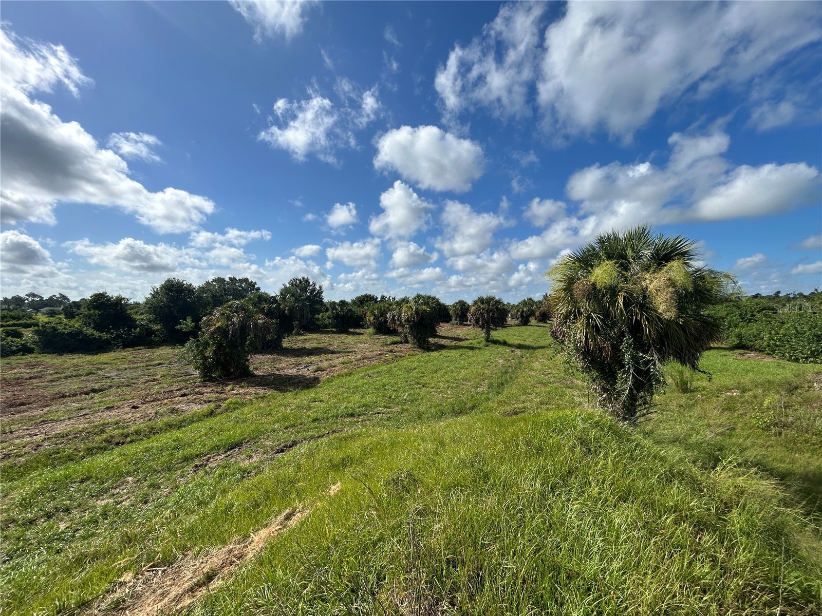 7024 Grove Boulevard Punta Gorda FL 33982 C7523066 image1