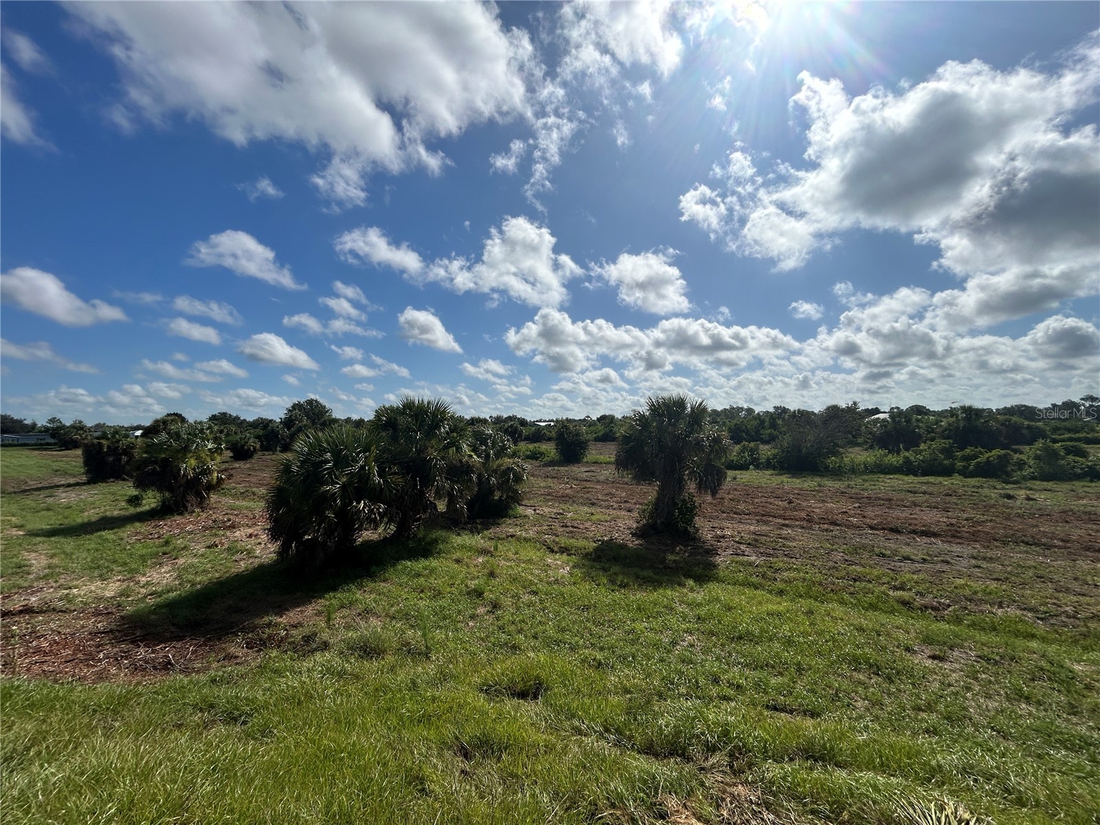 7024 Grove Boulevard Punta Gorda FL 33982 C7523066 image2