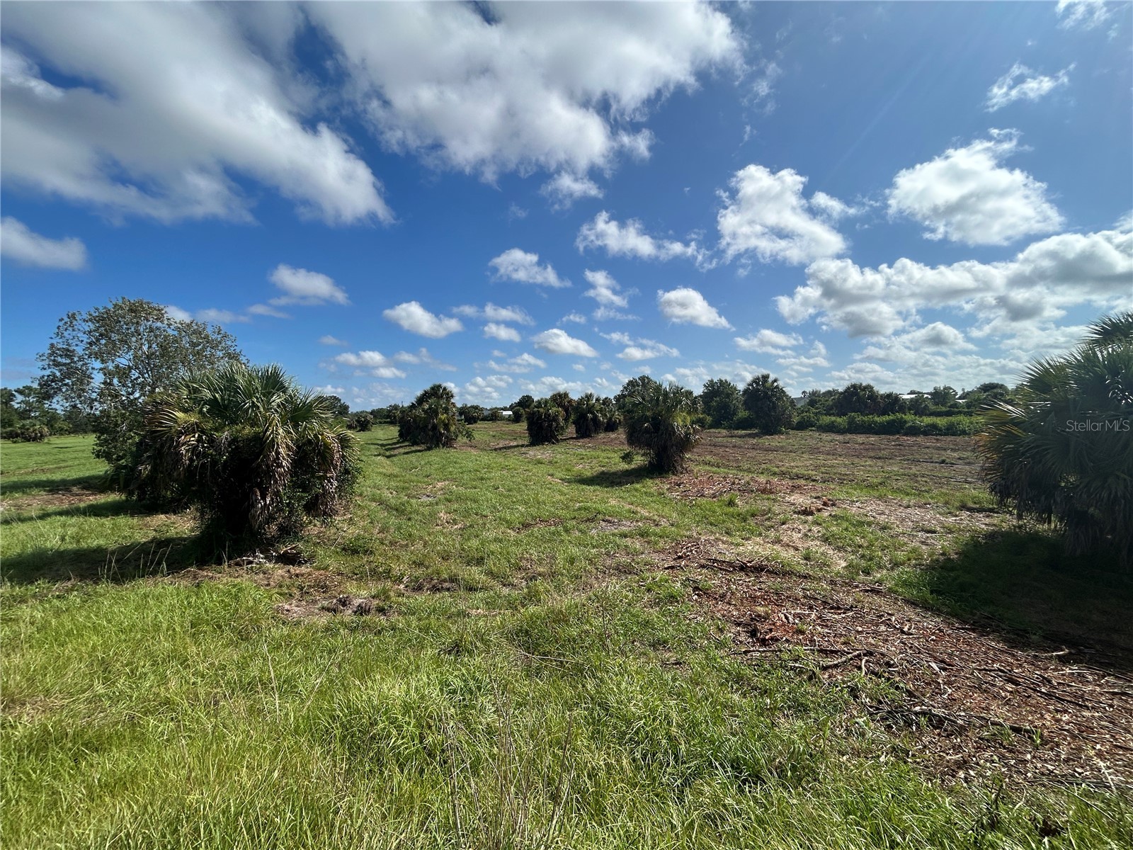 7024 Grove Boulevard Punta Gorda FL 33982 C7523066 image3