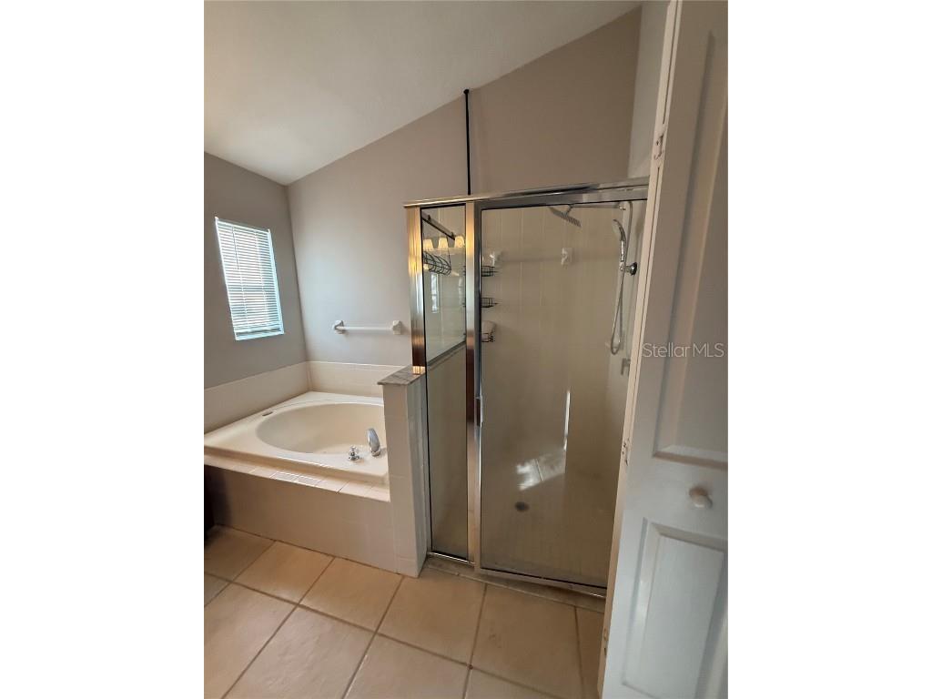 7024 Monarch Park Drive Apollo Beach FL 33572 TB8448306 image19