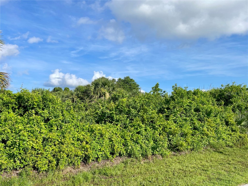 7025 Lauretta Street Englewood FL 34224 C7512701 image6