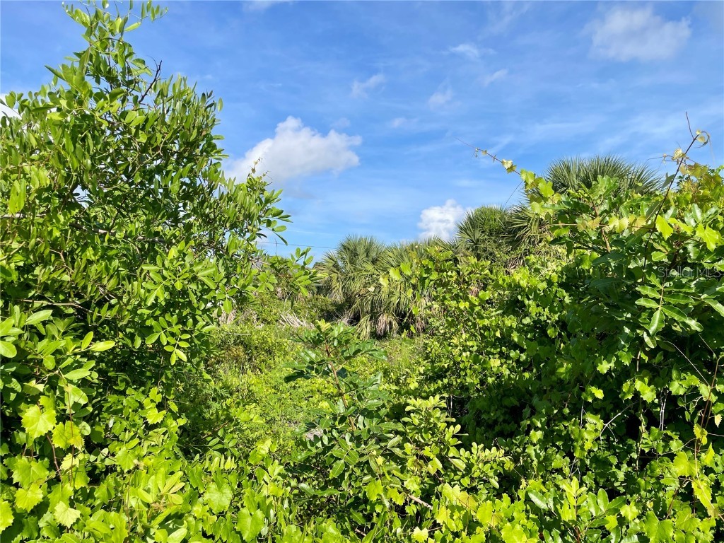 7025 Lauretta Street Englewood FL 34224 C7512701 image8