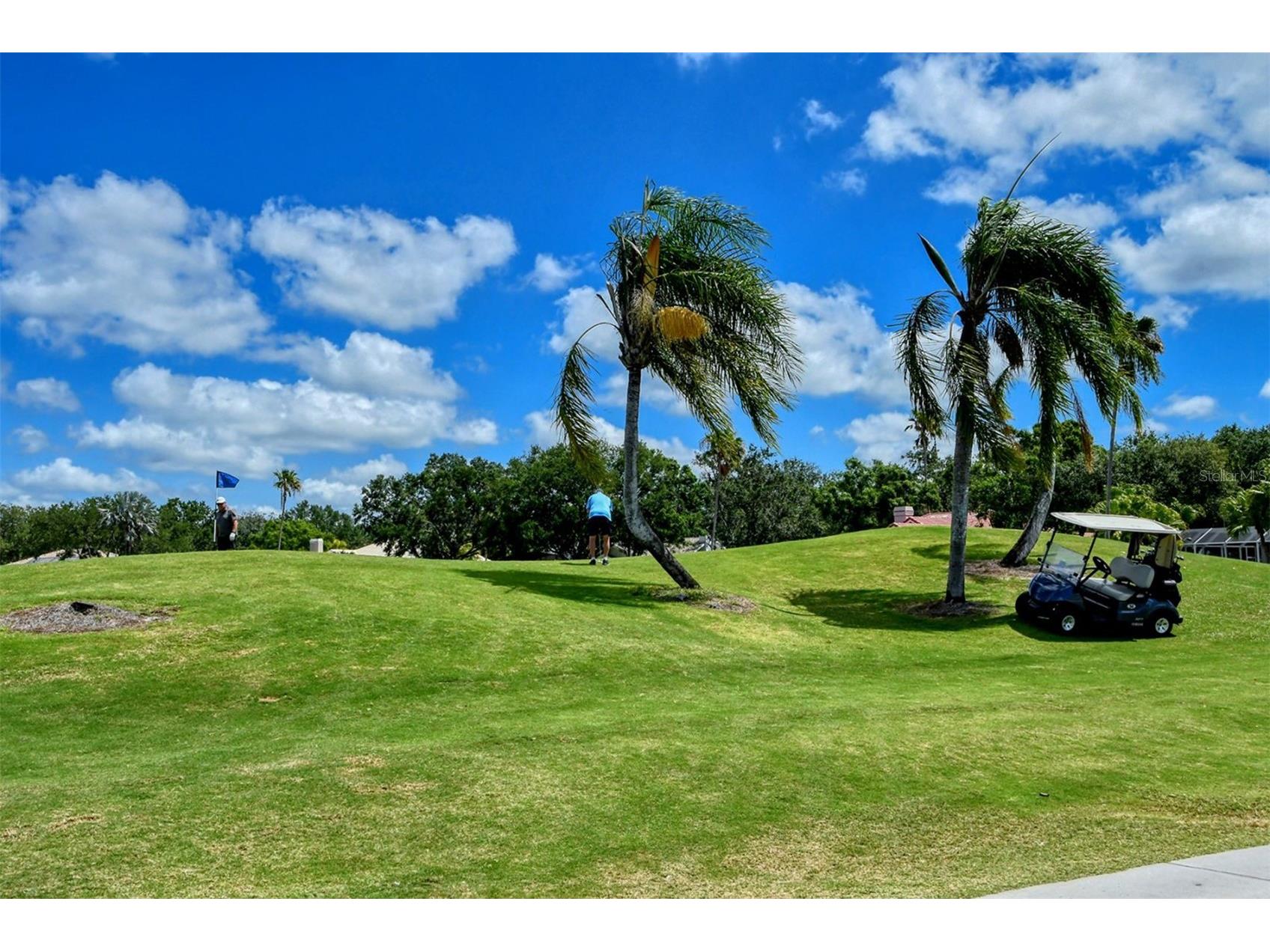 7025 N Serenoa Drive Sarasota FL 34241 A4693204 image77