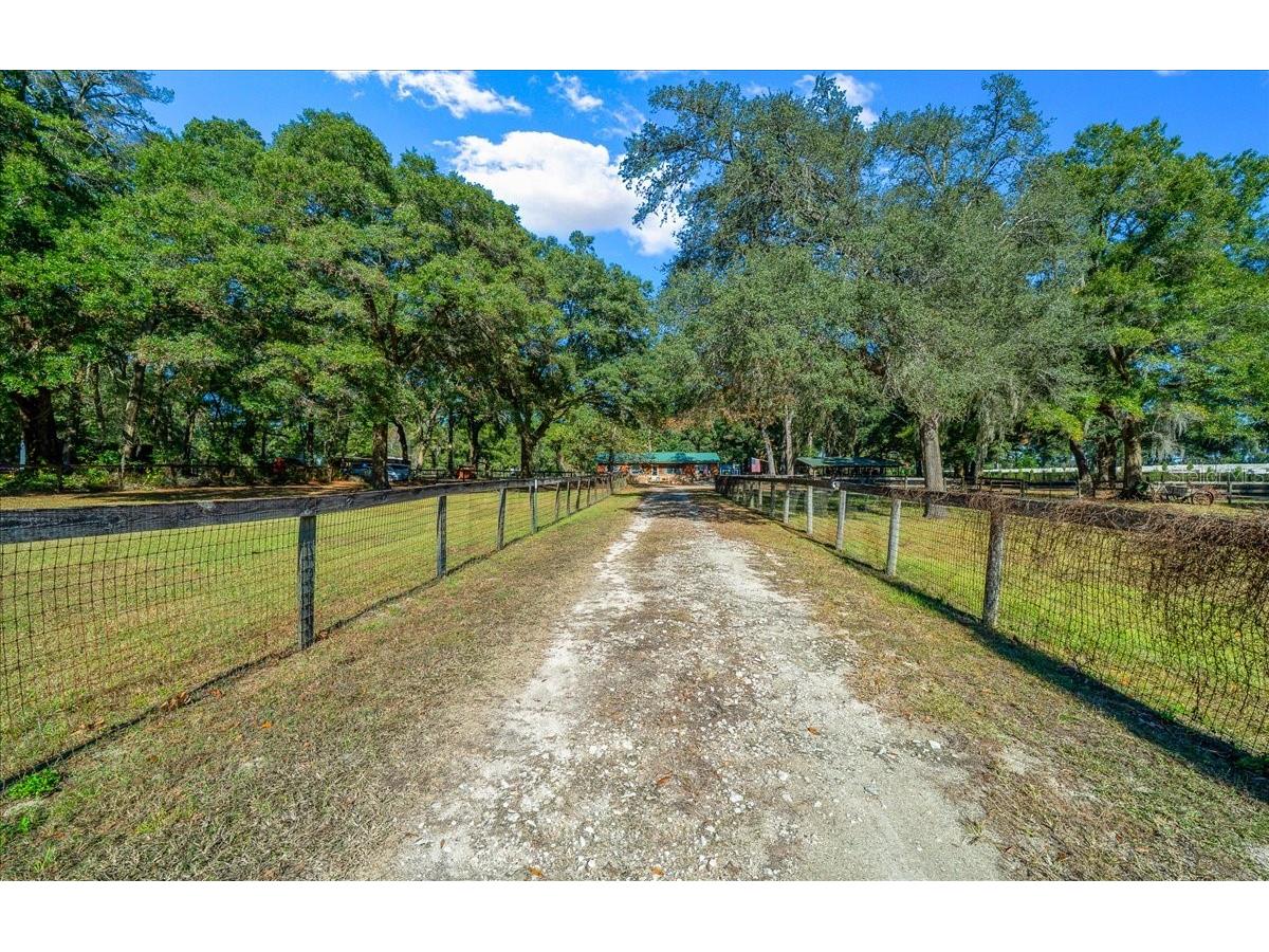 7025 NW 5th Lane Ocala FL 34482 OM714983 image17